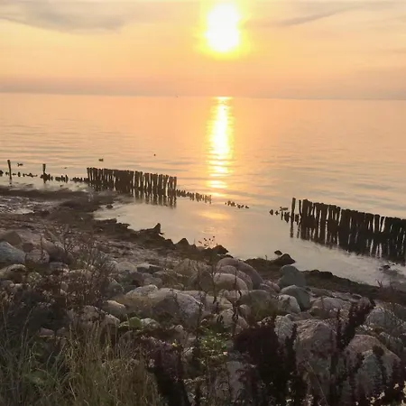 Dahmer 18 Muschelhus